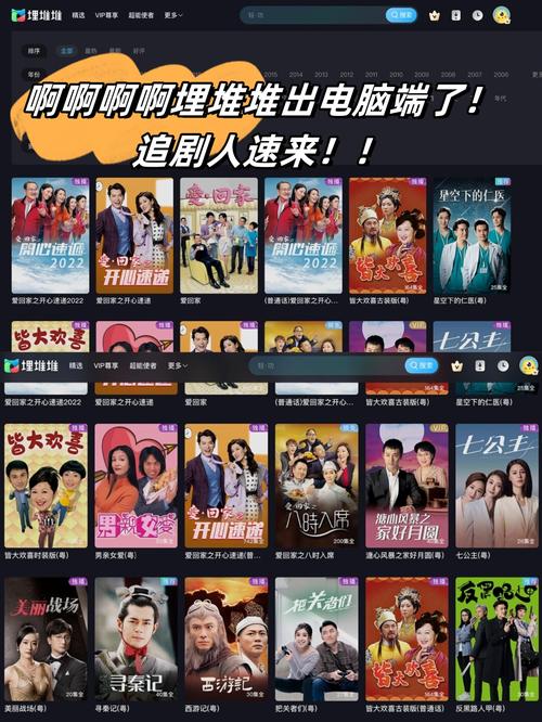 成人久久激情的相关介绍