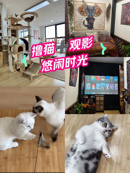 久久国产欧美一区二区的相关介绍