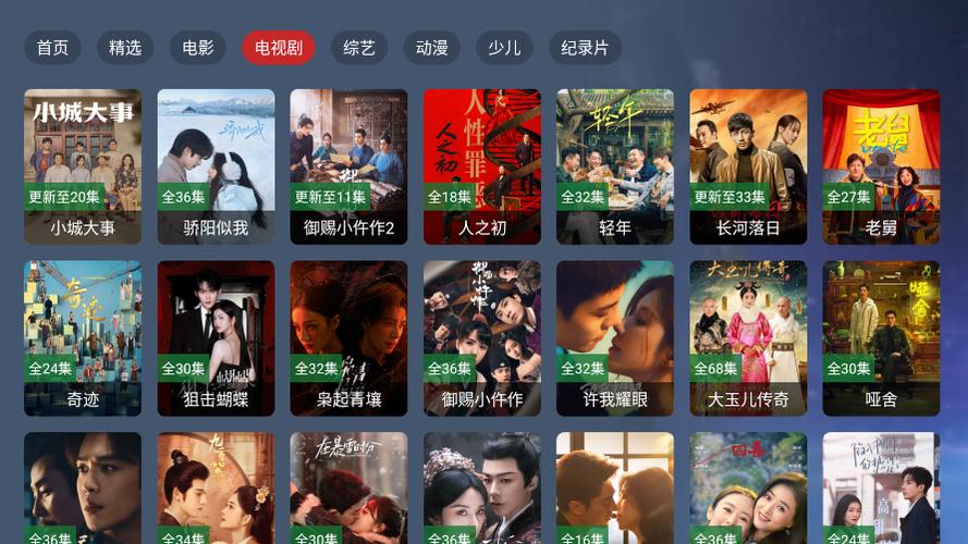 老司机亚洲精品影院的相关介绍
