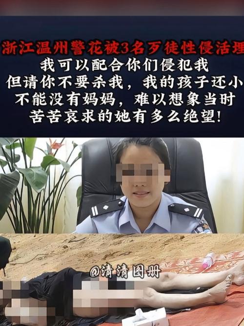 iidvd影院的相关介绍