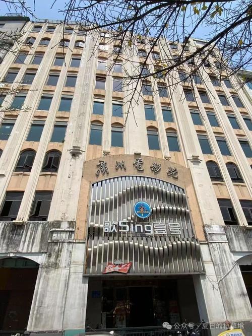 老司机影院懂视频在线观看的相关介绍