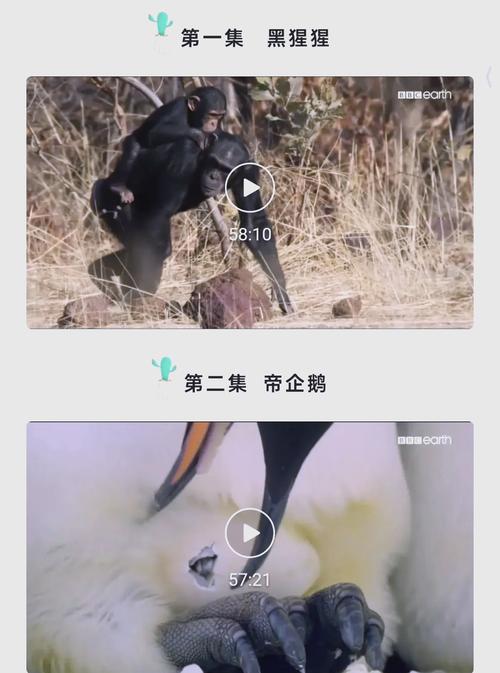麻豆av新搬来的女邻居的相关介绍