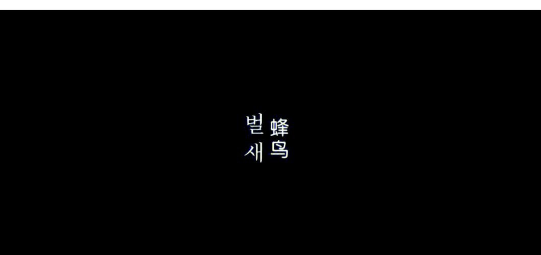 青鸟影院网的相关介绍