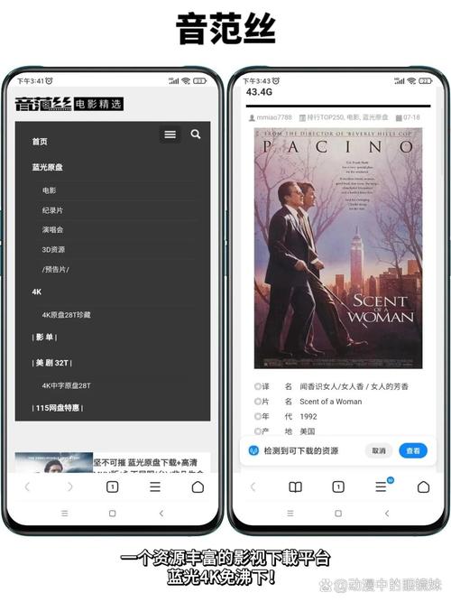 久久激情精品的相关介绍