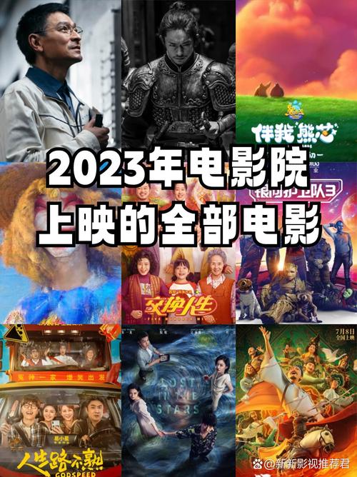 帮我下一个毛片的相关介绍