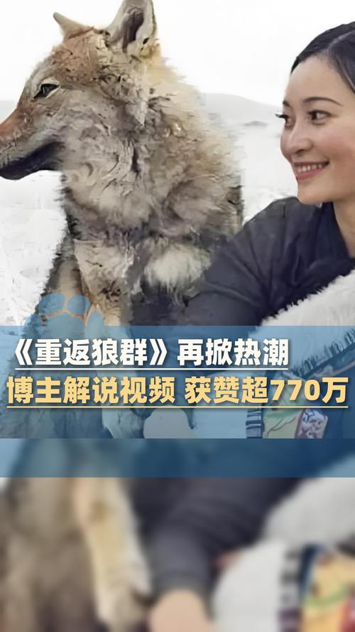 第九影院最新电影4480的相关介绍