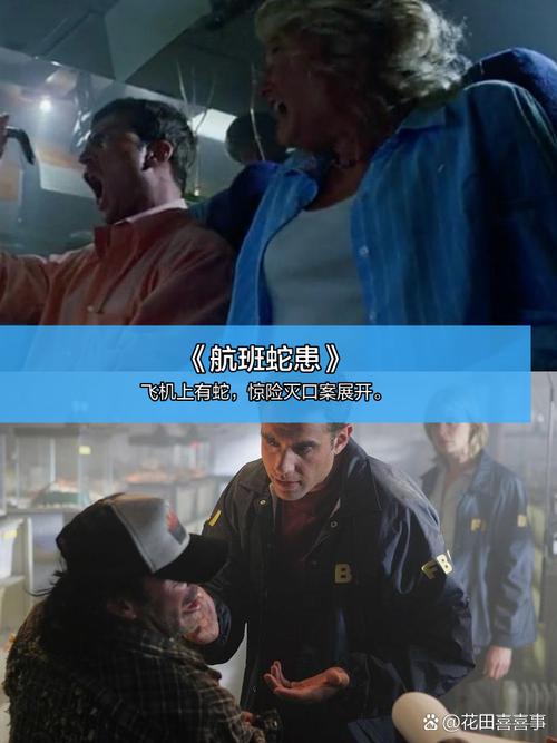 性感少妇白浆的相关介绍