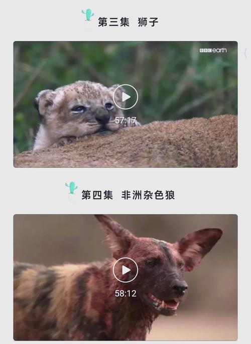 在线看18禁视频的相关介绍