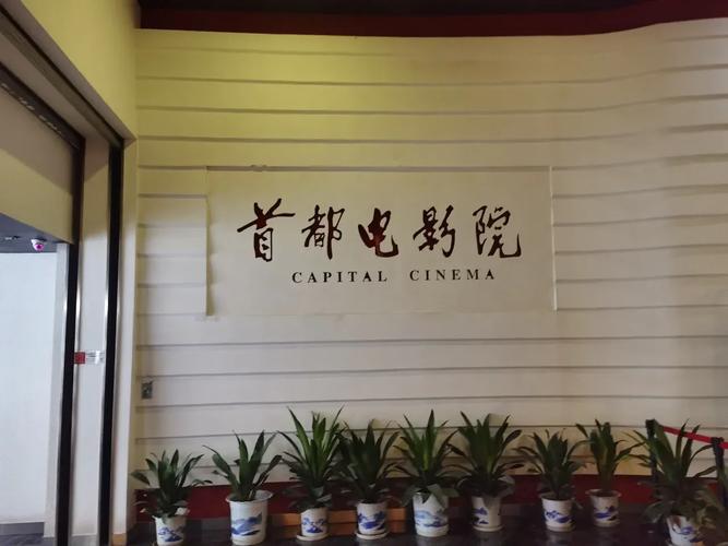不卡无毒毛片网站的相关介绍