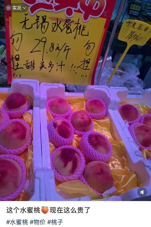 琪琪影院百度影音的相关介绍