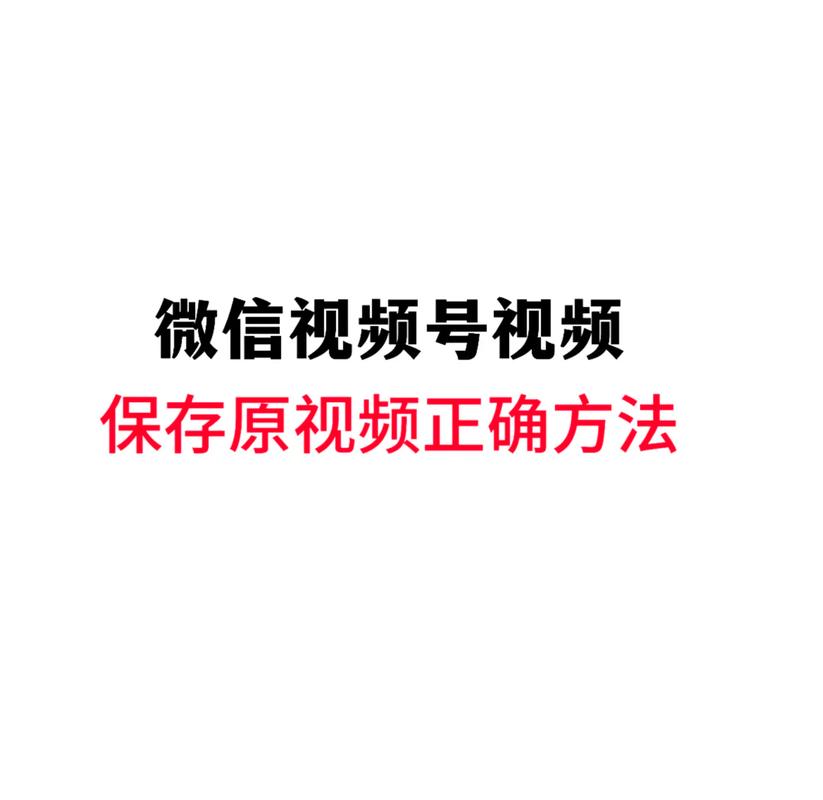 男女激情动漫的相关介绍