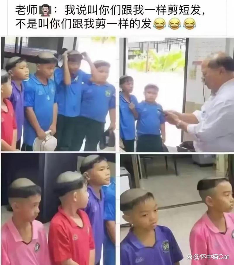 激情午夜久久久的相关介绍