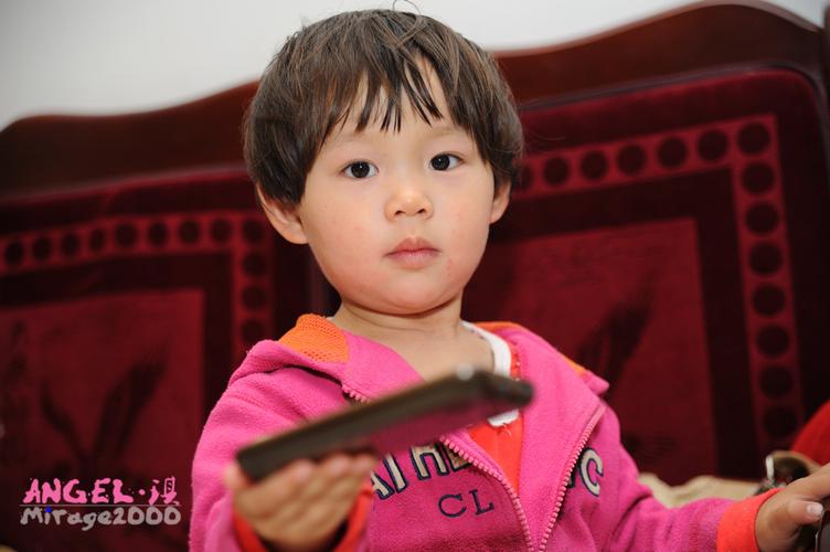 男女黄动漫的相关介绍
