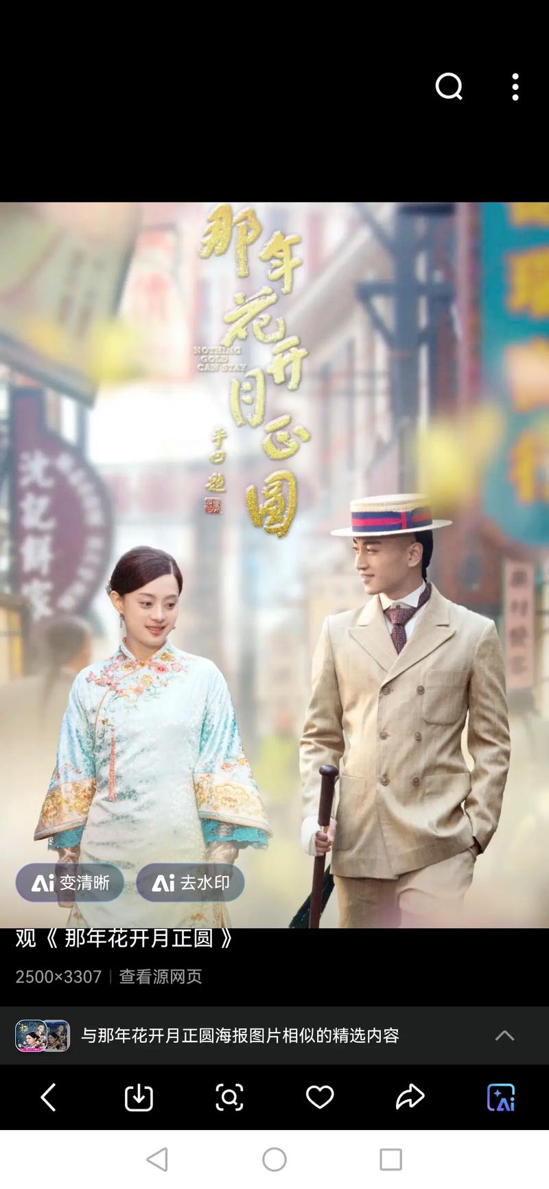 东北少妇毛片的相关介绍