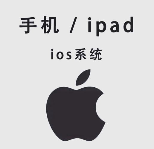18摸视频app免费下摸的相关介绍