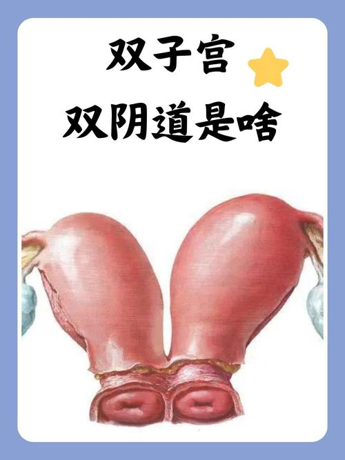 成人va在线观看一区二区三区的相关介绍