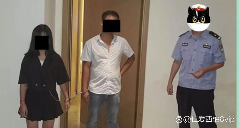 免费看视频免费app的相关介绍