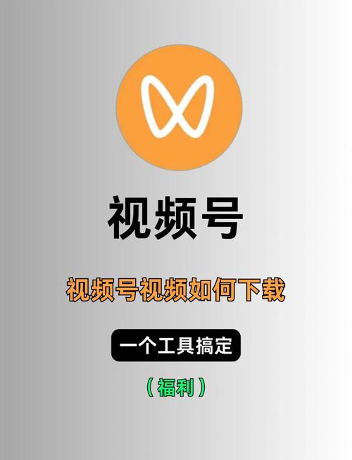 99国产精品久久不卡毛片的相关介绍
