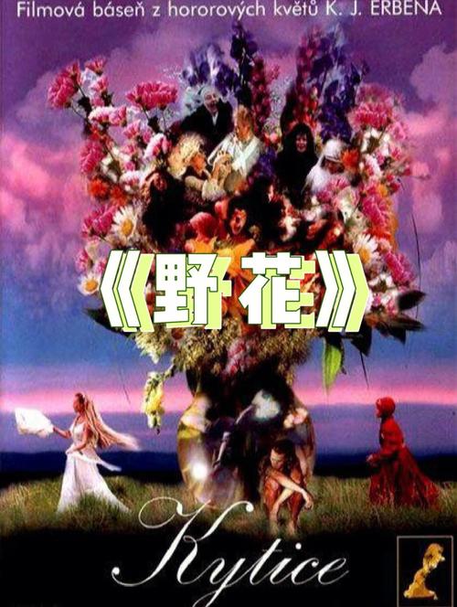 蝴蝶影院的相关介绍