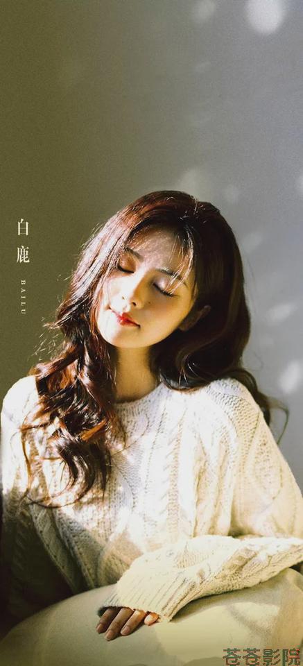 经典少妇美臀白浆视频的相关介绍
