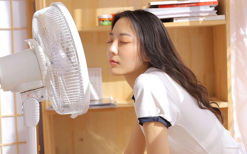 欧美av在线天堂的相关介绍
