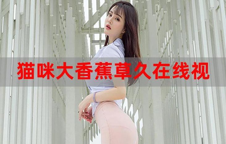欧美人av在线影院的相关介绍