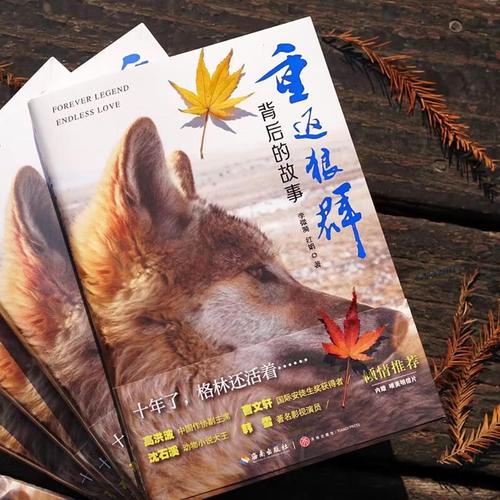 狂操处女逼的相关介绍