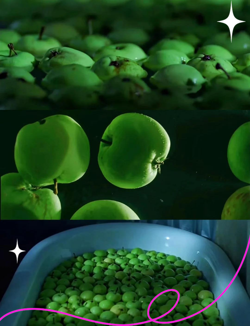豆豆影院的相关介绍
