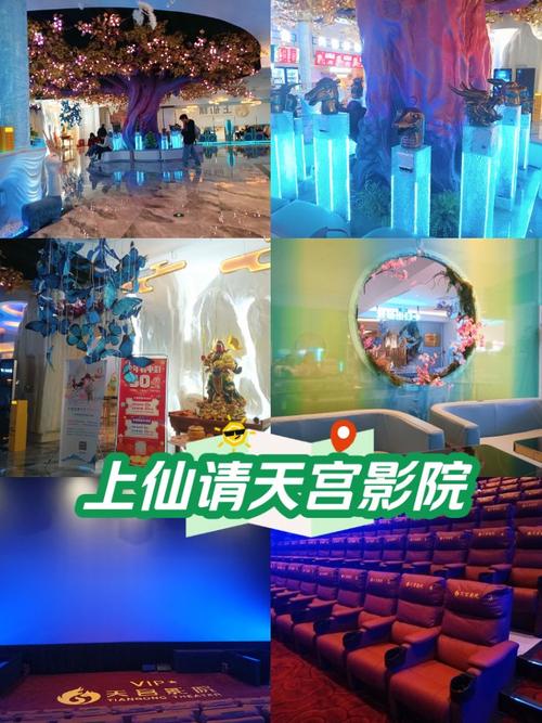 神马影院dy888不卡宅宅网的相关介绍
