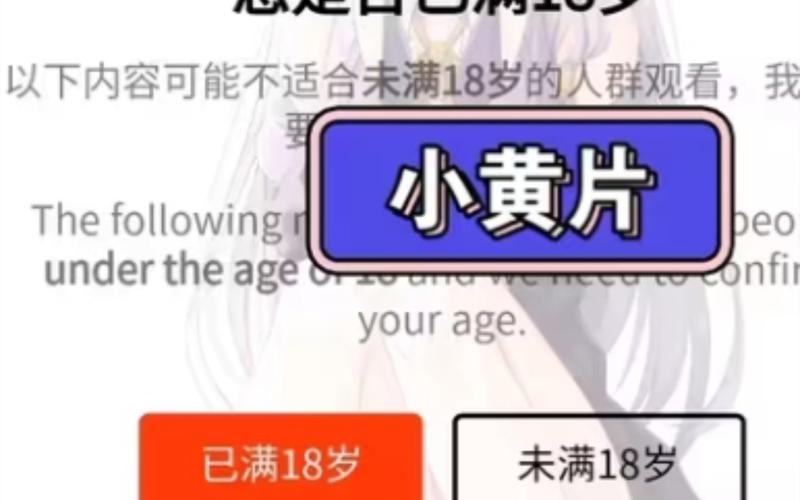 91麻豆剧情传媒的相关介绍