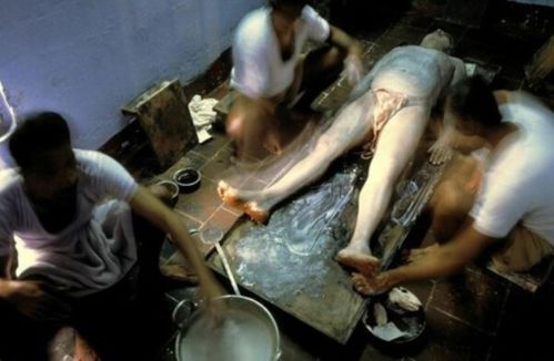 我操我的女老师的相关介绍