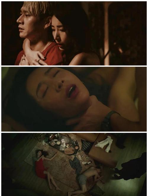 808影院网的相关介绍