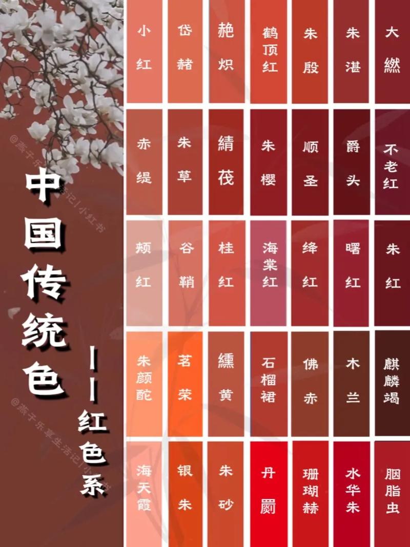 西瓜电影院的相关介绍