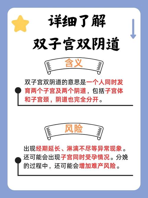 所有黄的影院的相关介绍