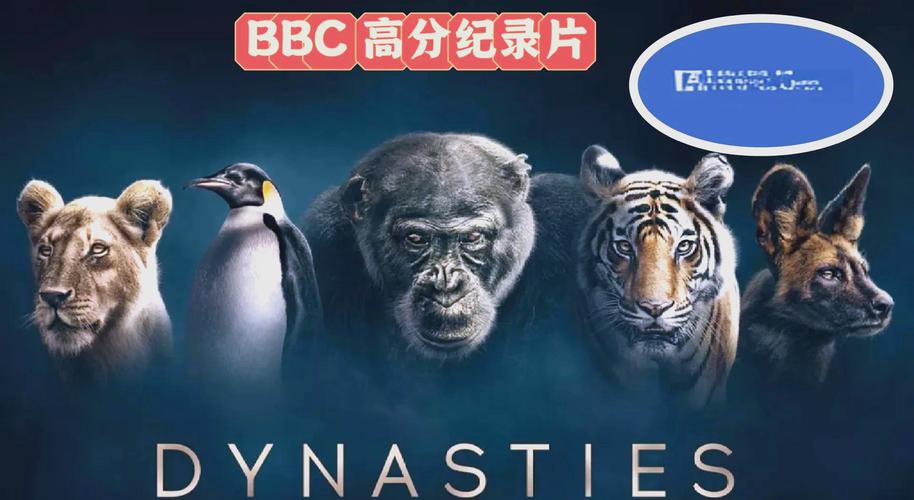 动漫18禁在线看的相关介绍