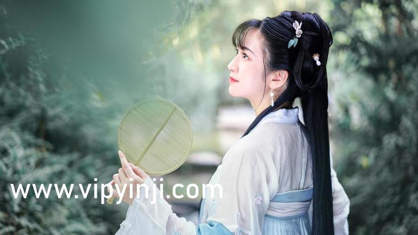 美女又黄又爽动漫的相关介绍
