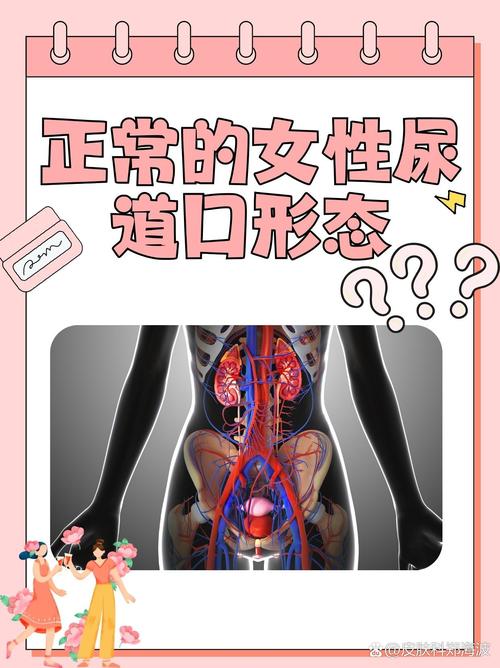 老湿影院vip18的相关介绍