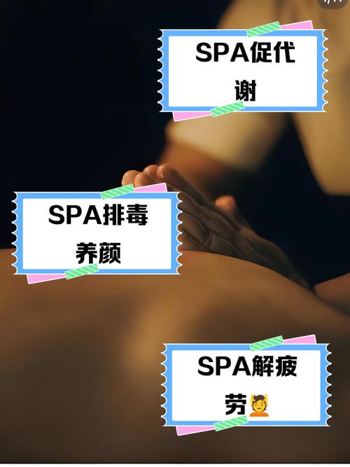 青苹果影院手机版在线播放的相关介绍