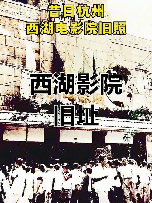 草莓视频app下载18岁的相关介绍