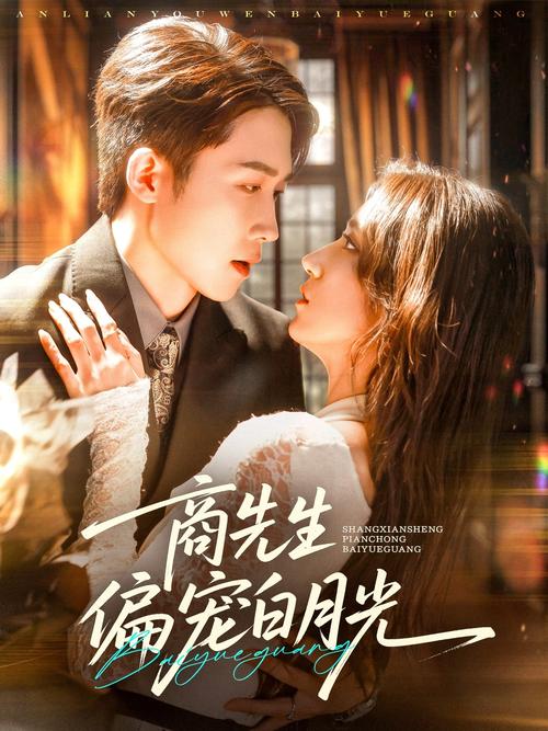 免费视频免费下载app的相关介绍