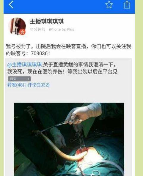 八妻子影院秋霞的相关介绍
