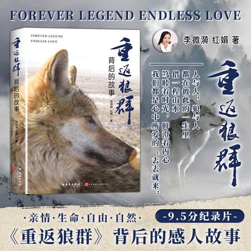 大香蕉影院的相关介绍