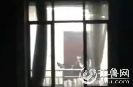 国产精品又色又大的相关介绍