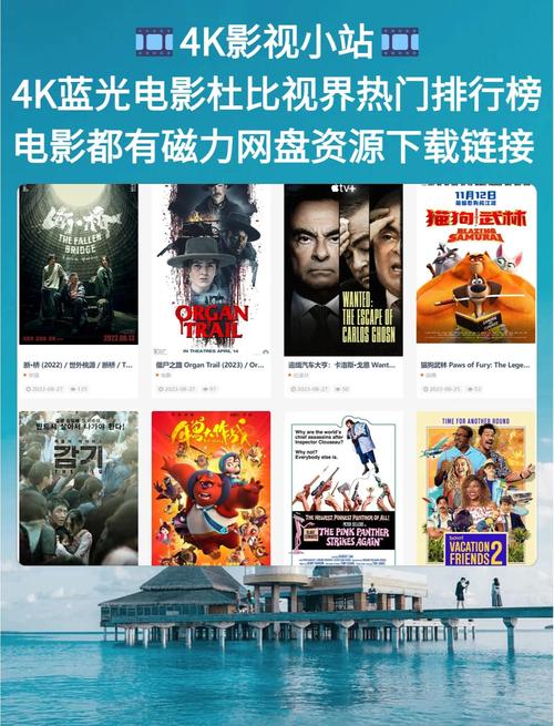 动漫美女又黄又爽的相关介绍