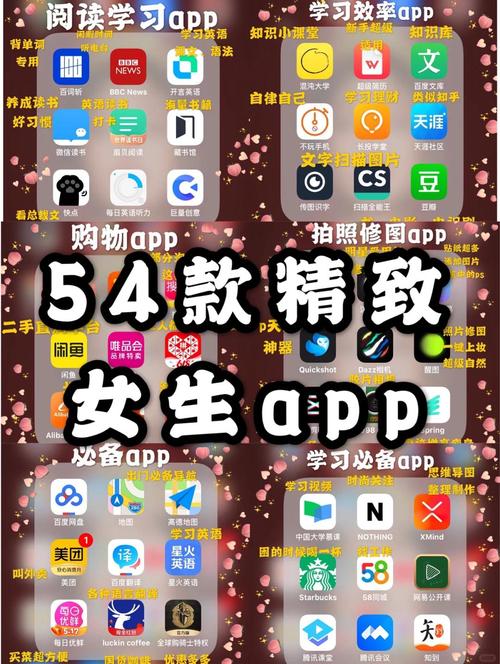 韩国午夜宫影院的相关介绍