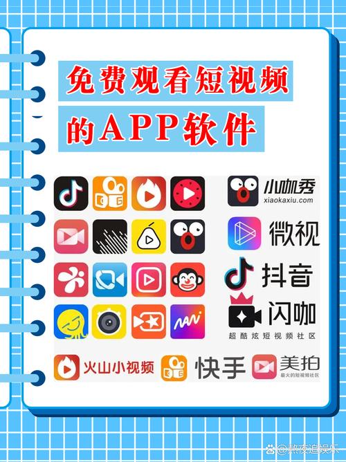 99国产精品99久久久久久胖胖的相关介绍